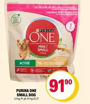 One - SMALL DOG ACTIVE