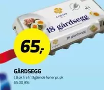 18 Gårds egg