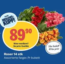 Roser -  14 stk