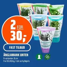 Un - Änglamark Urter