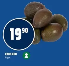 AVOKADO