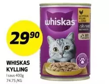 KYLLING I SAUS