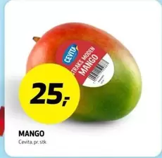MANGO