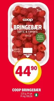 BRINGEBÆR