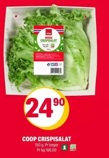Norsk - CRISPISALAT