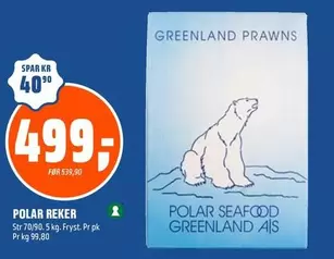 As - POLAR REKER