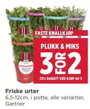 Friske urter