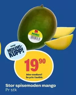 Stor spisemoden mango