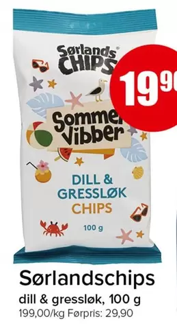 Sommer Vibber CHIPS