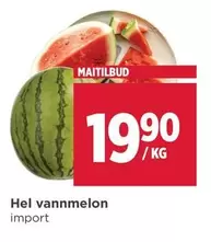 Hel vannmelon