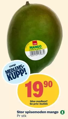 Stor spisemoden mango