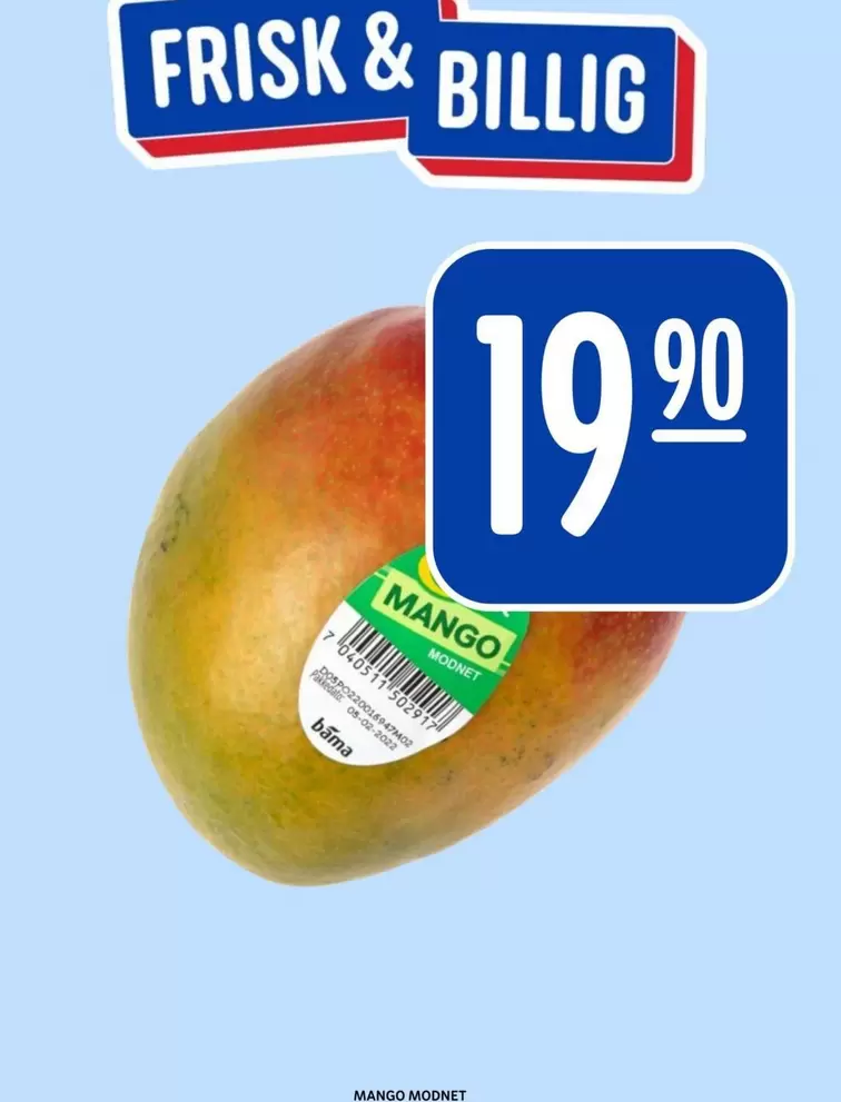 Bama - Mango