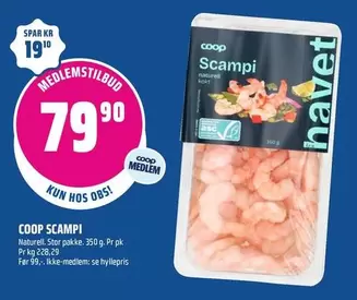 Scampi