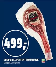 COOP GRILL PERFEKT TOMAHAWK