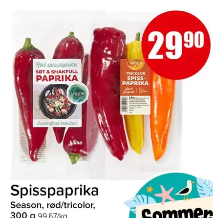 Sel - Spisspaprika