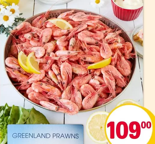 GREENLAND PRAWNS