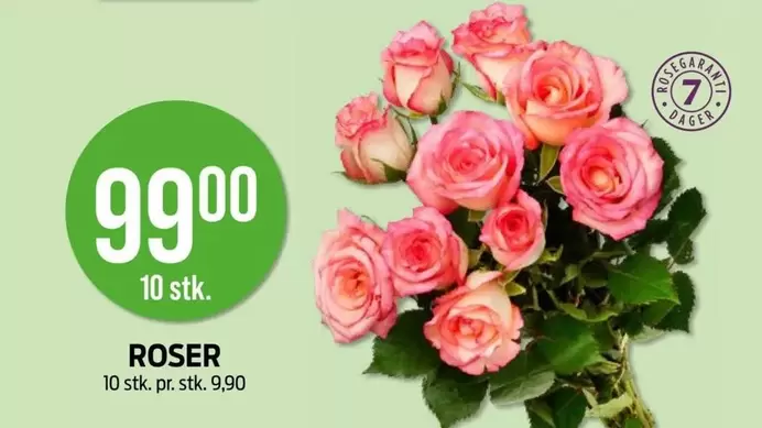 Roser - ROSER