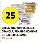 Granola - YOGHURT VANILJE & GRANOLA, PEKAN & HONNING OG SALTED CARAMEL