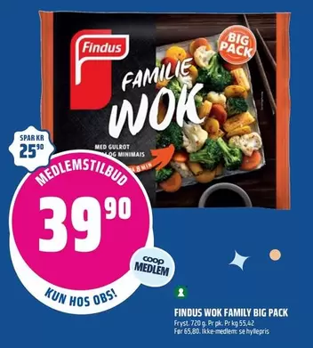 Family - FAMILIE WOK