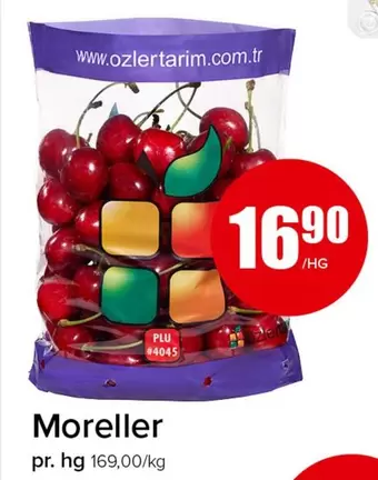 Moreller
