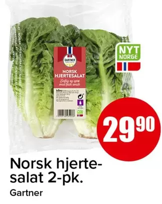 Norsk -  hjertesalat