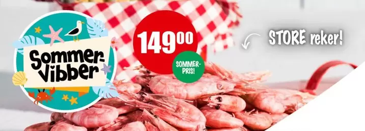Sommer Vibber