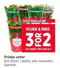 Friske urter