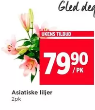 Asiatiske liljer
