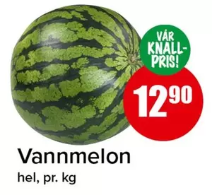 Vannmelon