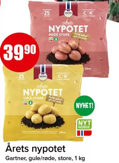 Bama - Årets nypotet