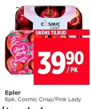 Pink - Cosmic Crisp/ Lady Epler