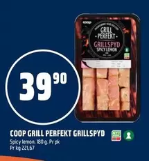 GRILL PERFEKT GRILLSPYD