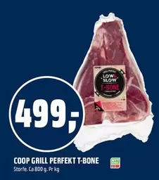 GRILL PERFEKT T-BONE
