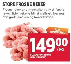 Fast - STORE FROSNE REKER