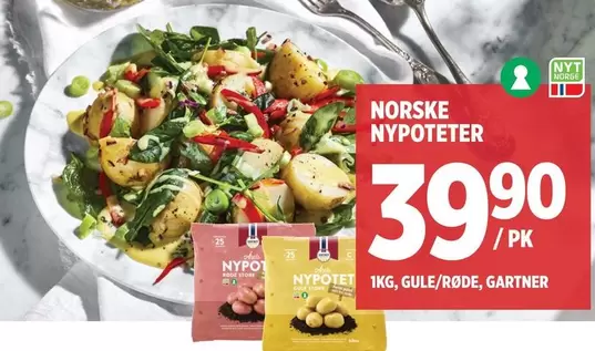Norske Nypoteter