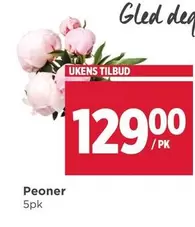 Peoner