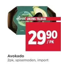 Avocado