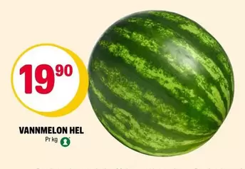 Vannmelon hel