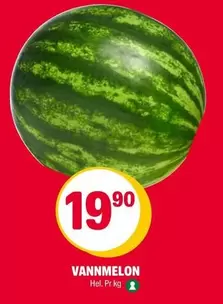 Vannmelon
