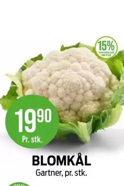 Blomkål