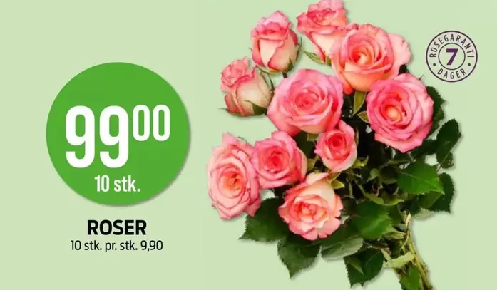 Roser - ROSER