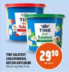 No - SALATOST CHILI/FENIKKEL URT/HV.HVITLØK