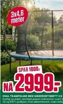 Trampoline - Oval