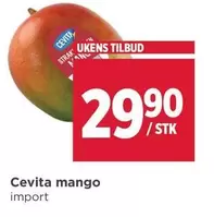 Mango