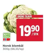 Norsk - blomkål