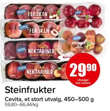 Bama - Steinfrukter