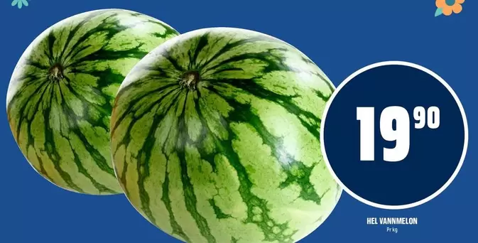 Watermelon