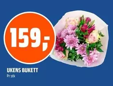 UKENS BUKETT