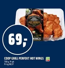 HOT WINGS