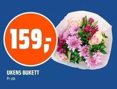 UKENS BUKETT